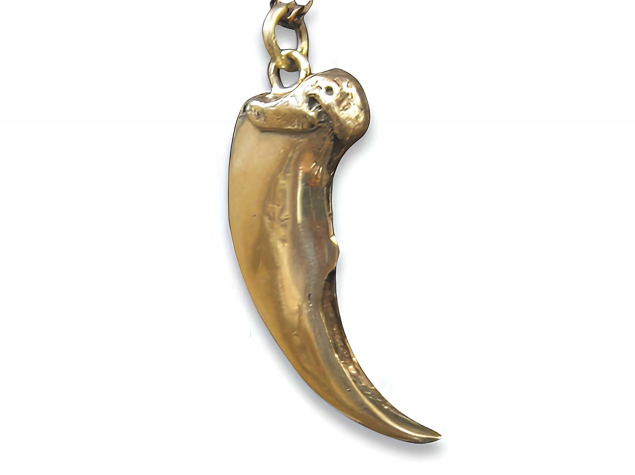 Bear Claw Necklace - Moon Raven Designs