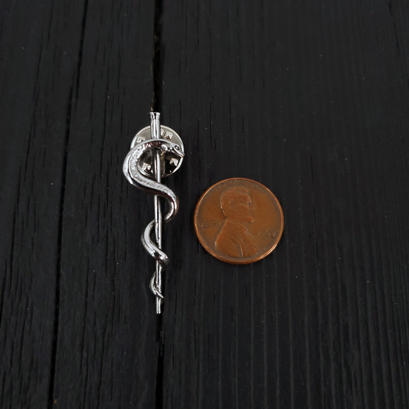 Silver snake pin beside penny, intricate design, contrast | Moon Raven