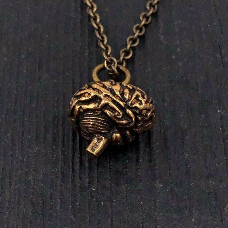 Anatomical Brain Pendant Charm Necklace - Hand Cast Solid Bronze - Highly Detailed Polished Oxidized Antique Finish - Multiple Chain Lengths