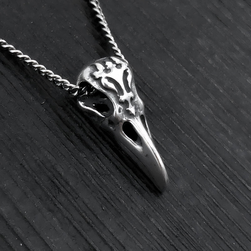 Bird Skull Collection