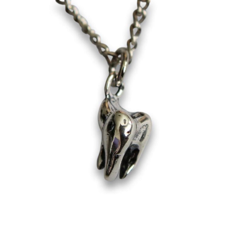 Three Root Human Molar Tooth Necklace - Moon Raven Designs
