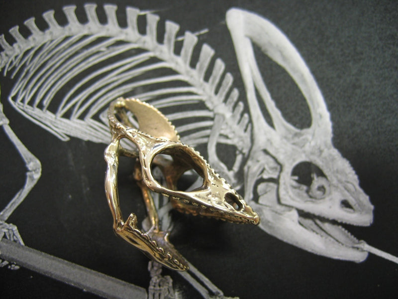 Chameleon Lizard Skull - Moon Raven Designs