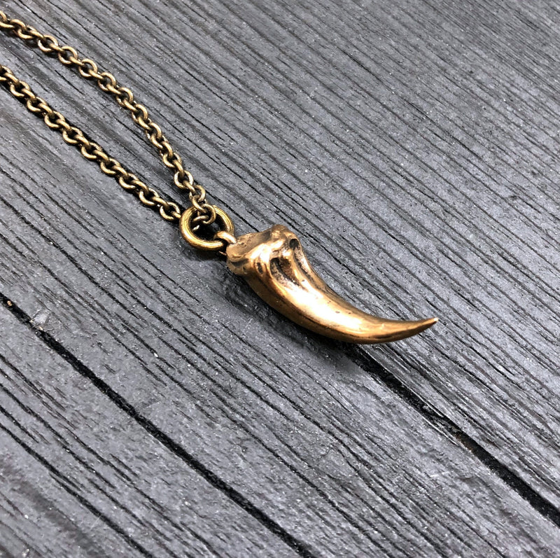 Velociraptor Claw Necklace in Solid Bronze Deinonychus Claw Dinosaur Claw